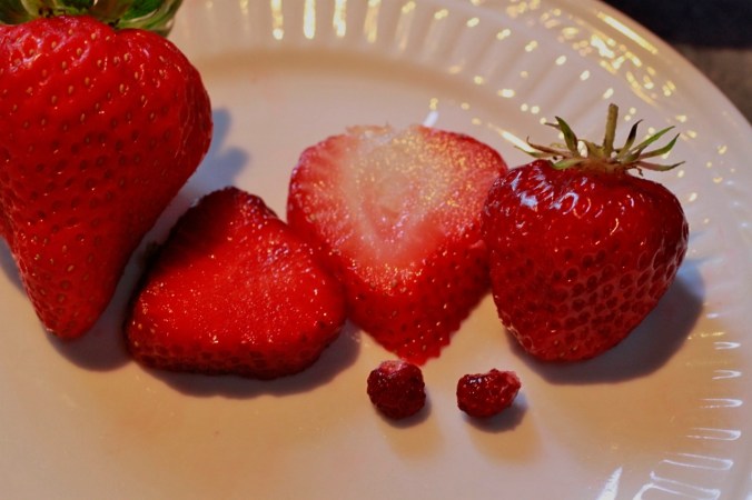 wild-and-modern-strawbs